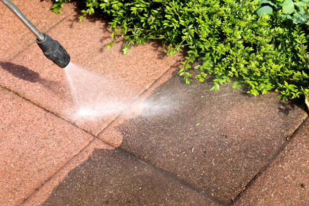 Best Pressure Washing Near Me  in Wheatland, WY